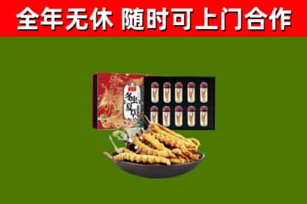 灵武回收冬虫夏草价格